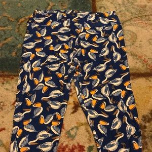 Lularoe TC Tall Curvy Pelicans leggings